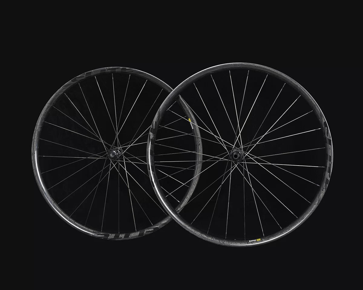 Elite-Wheels 29er Pro36 - Disc Brake - Carbon XC Wheelset
