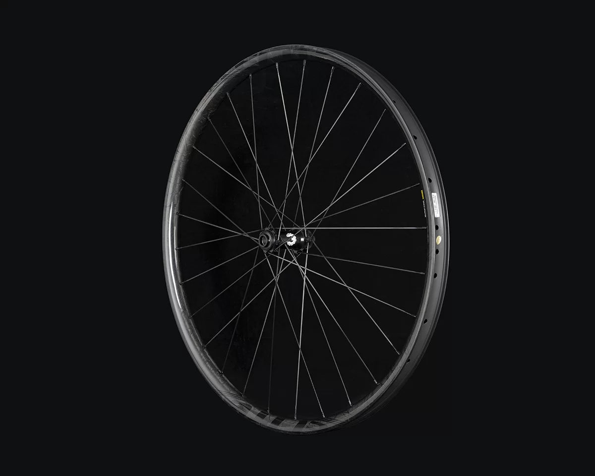 Elite-Wheels 29er Pro36 - Disc Brake - Carbon XC Wheelset