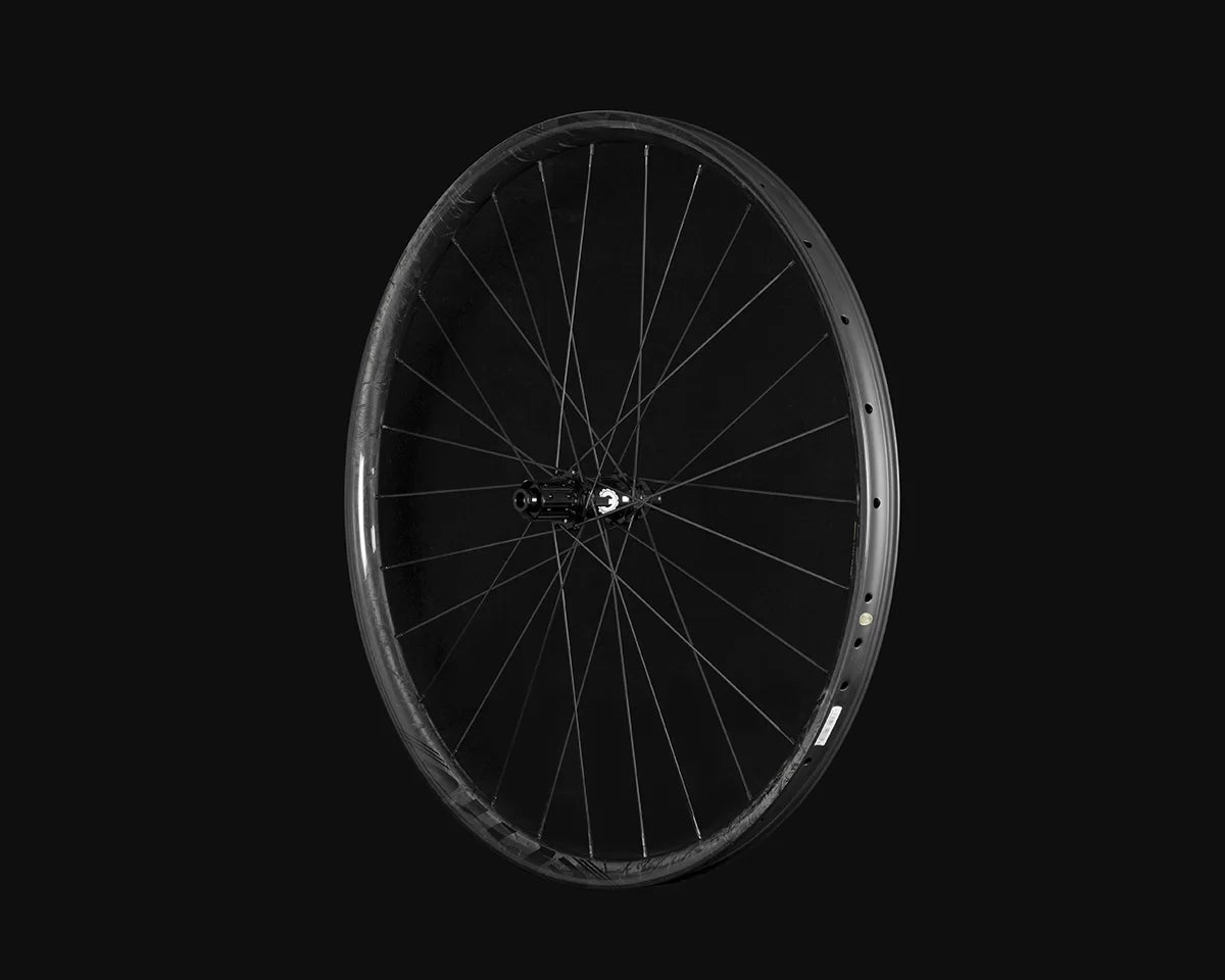 Elite-Wheels 29er Pro36 - Disc Brake - Carbon XC Wheelset
